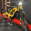 2023 Sur Ron Light Bee