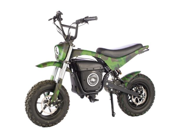 HRH 2.5 Electric Hunt Bike