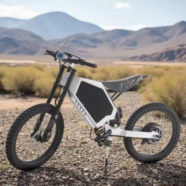 2024 new electric bike Racer powerful